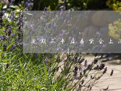 逾期二年后房贷会上浮吗 逾期二年后房贷会上浮吗