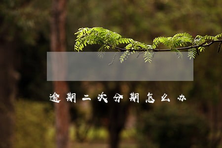 逾期二次分期怎么办 逾期二次分期怎么办