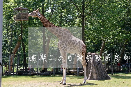逾期二次可能贷款买房部 逾期二次可能贷款买房部