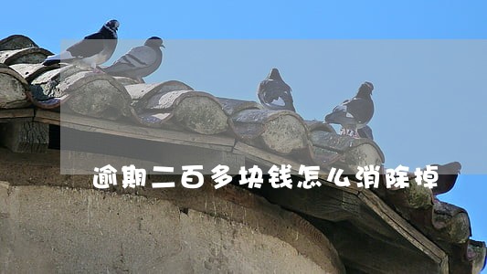 逾期二百多块钱怎么消除掉 逾期二百多块钱怎么消除掉