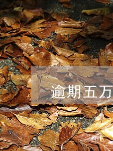 逾期五万以上怎么规避刑事责任 逾期五万以上怎么规避刑事责任