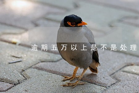 逾期五万以上是不是处理比较麻烦 逾期五万以上是不是处理比较麻烦