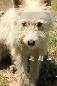 逾期五万以上有套现 逾期五万以上有套现