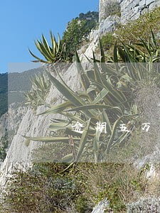 逾期五万以上银行会报警吗 逾期五万以上银行会报警吗