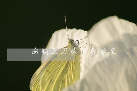 逾期五万以下来家里 逾期五万以下来家里