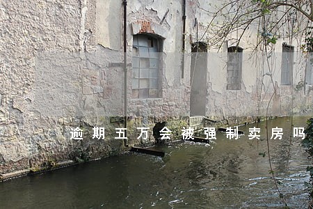 逾期五万会被强制卖房吗 逾期五万会被强制卖房吗