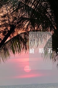逾期五万内 逾期五万内