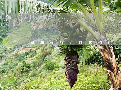 逾期五万可以慢慢还 逾期五万可以慢慢还