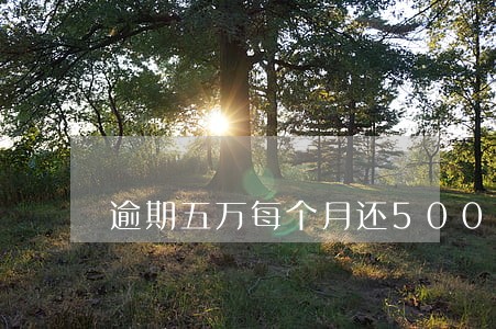 逾期五万每个月还500 逾期五万每个月还500