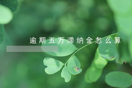 逾期五万滞纳金怎么算