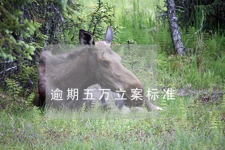 逾期五万立案标准