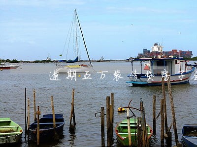 逾期五万装修贷房子会被拍卖吗 逾期五万装修贷房子会被拍卖吗