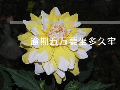 逾期五万要坐多久牢 逾期五万要坐多久牢
