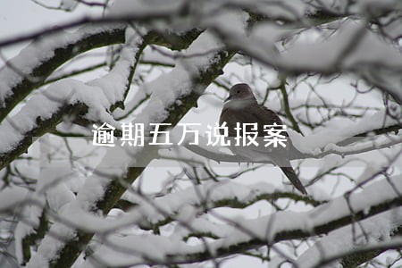 逾期五万说报案 逾期五万说报案