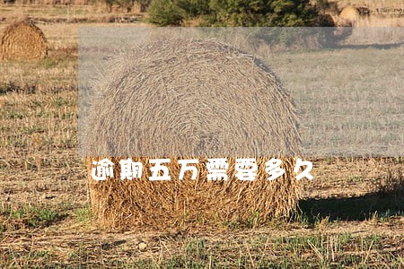 逾期五万需要多久 逾期五万需要多久