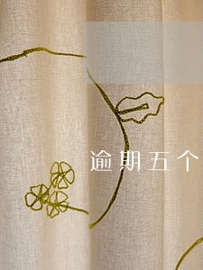 逾期五个小时 逾期五个小时