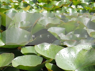 逾期五个小时会上征信吗 逾期五个小时会上征信吗