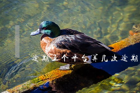 逾期五个平台算几次逾期 逾期五个平台算几次逾期