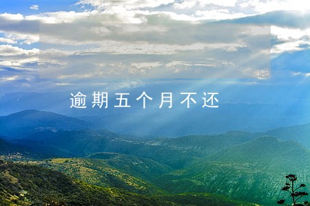 逾期五个月不还 逾期五个月不还