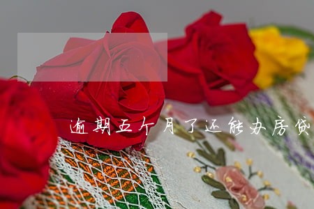 逾期五个月了还能办房贷吗 逾期五个月了还能办房贷吗
