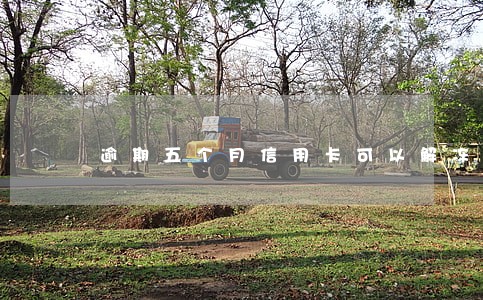 逾期五个月信用卡可以解冻吗 逾期五个月信用卡可以解冻吗