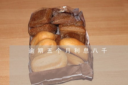 逾期五个月利息八千 逾期五个月利息八千