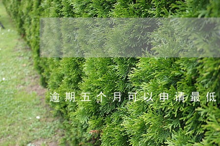 逾期五个月可以申请最低还款吗 逾期五个月可以申请最低还款吗