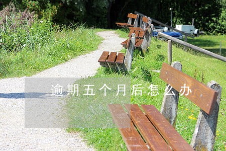 逾期五个月后怎么办 逾期五个月后怎么办