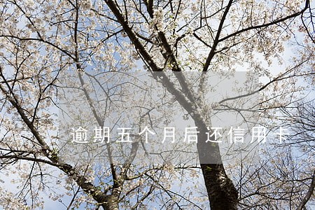 逾期五个月后还信用卡 逾期五个月后还信用卡