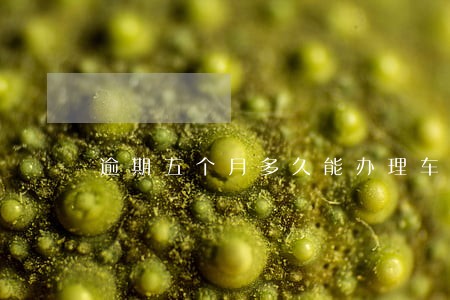 逾期五个月多久能办理车贷 逾期五个月多久能办理车贷