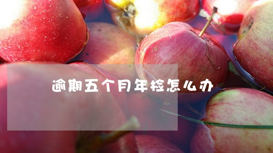 逾期五个月年检怎么办 逾期五个月年检怎么办