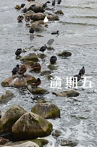 逾期五个月怎么和银行协商 逾期五个月怎么和银行协商