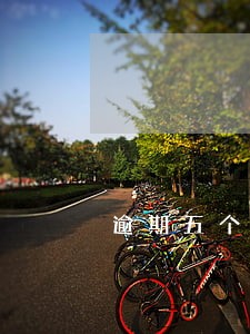 逾期五个月拖车报警有用吗 逾期五个月拖车报警有用吗