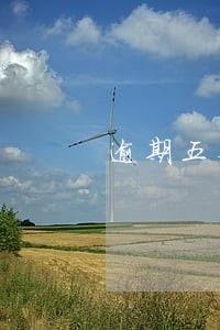 逾期五个月没审车咋办