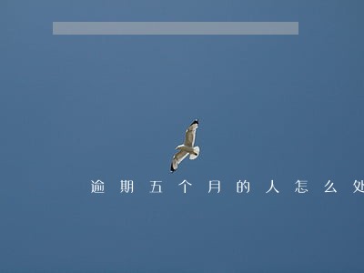 逾期五个月的人怎么处理 逾期五个月的人怎么处理