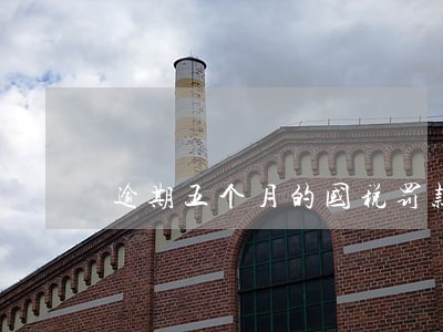 逾期五个月的国税罚款怎么办理 逾期五个月的国税罚款怎么办理