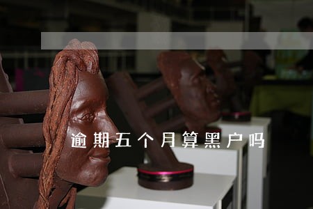 逾期五个月算黑户吗