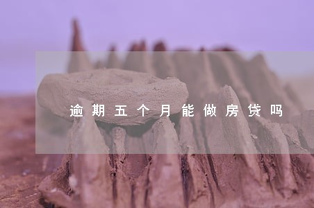 逾期五个月能做房贷吗