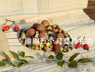 逾期五个月要其它的费用吗 逾期五个月要其它的费用吗