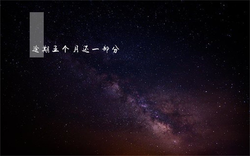 逾期五个月还一部分 逾期五个月还一部分