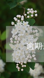 逾期五个月还能借钱吗 逾期五个月还能借钱吗