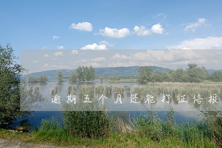 逾期五个月还能打征信报告吗 逾期五个月还能打征信报告吗