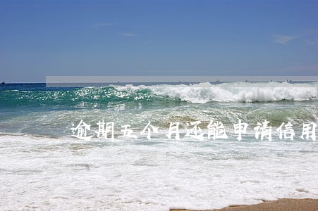 逾期五个月还能申请信用卡吗 逾期五个月还能申请信用卡吗