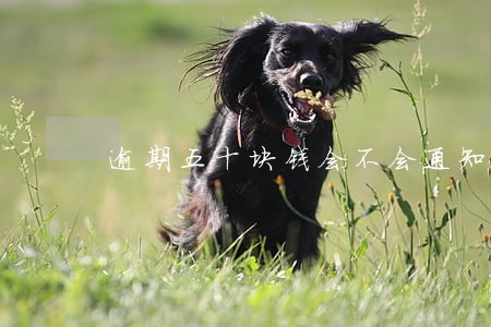 逾期五十块钱会不会通知家人 逾期五十块钱会不会通知家人