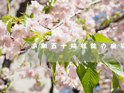 逾期五十块钱能办房贷吗 逾期五十块钱能办房贷吗