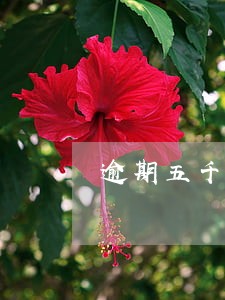 逾期五千上门 逾期五千上门