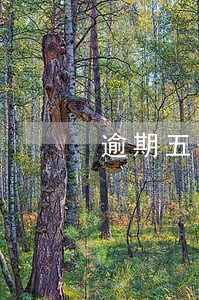 逾期五千可以协商分期吗 逾期五千可以协商分期吗