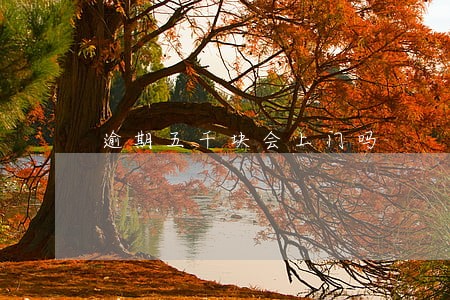 逾期五千块会上门吗 逾期五千块会上门吗