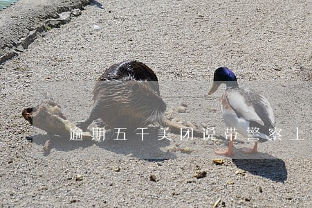 逾期五千美团说带警察上门 逾期五千美团说带警察上门