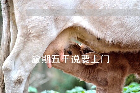 逾期五千说要上门 逾期五千说要上门